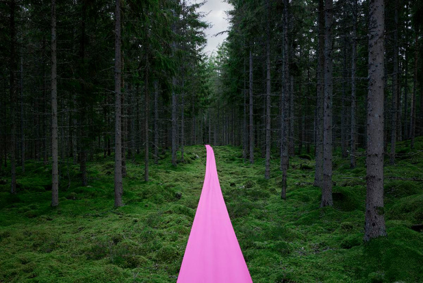 Lessebo Paper lanceert collectie gekleurd papier voor luxeverpakkingen