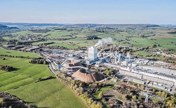 Golfkarton: het eldorado voor de papierproducenten 