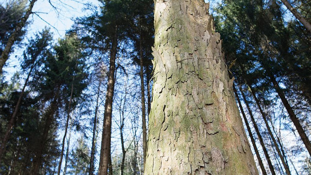 Gallus sluit milieupartnership met Forliance