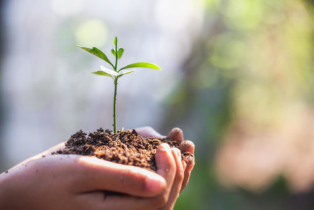 Welke leveranciers van de grafische sector staan op de A-lijst van het CDP? 