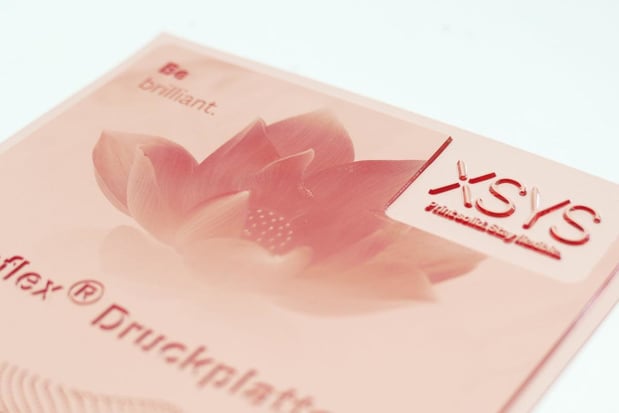 XSYS annonce des hausses de prix pour ses plaques nyloflex