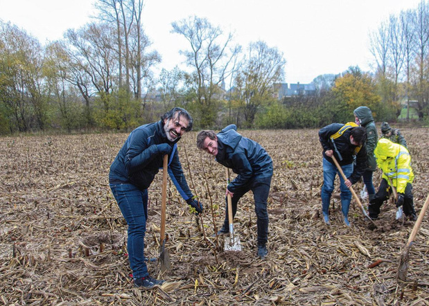 DS Smith soutient un projet de replantation de Natuurpunt en Flandre orientale 