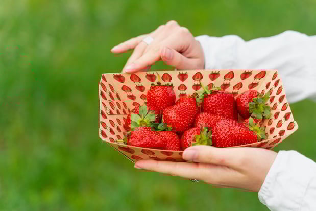 Hubergroup lance une encre offset feuille pour le contact direct avec les aliments