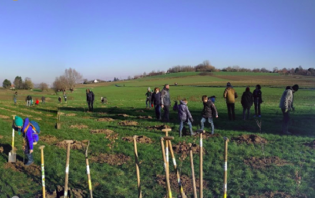 Roularta plante 15 000 arbres autour de son siège de Roulers 