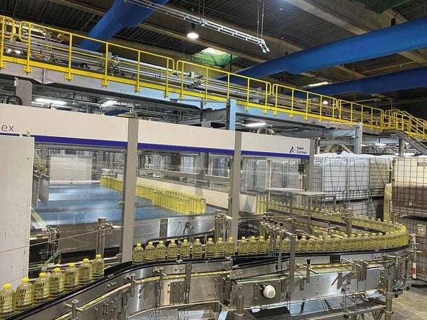 Optimisation du département Remplissage & Emballage 