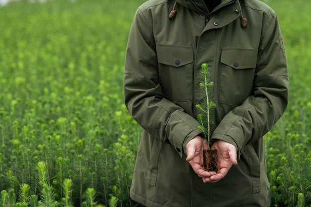 EcoVadis attribue à Metsä Board la plus haute note de durabilité