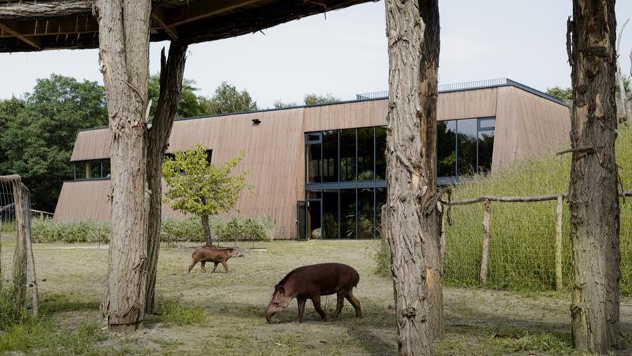 “Met 1 ha hennep isoleer je elk jaar een woning”