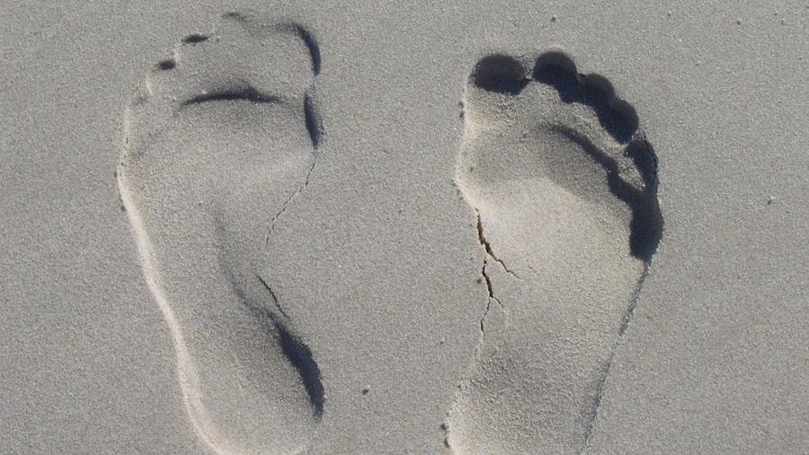 Une fondation néerlandaise lance un 'Carbon Print Score' indépendant