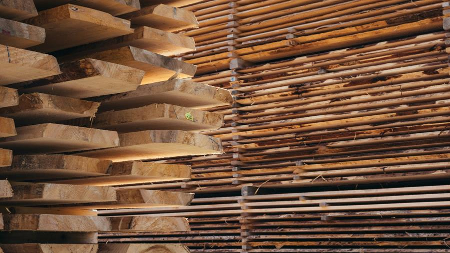 Fysische eigenschappen van hout